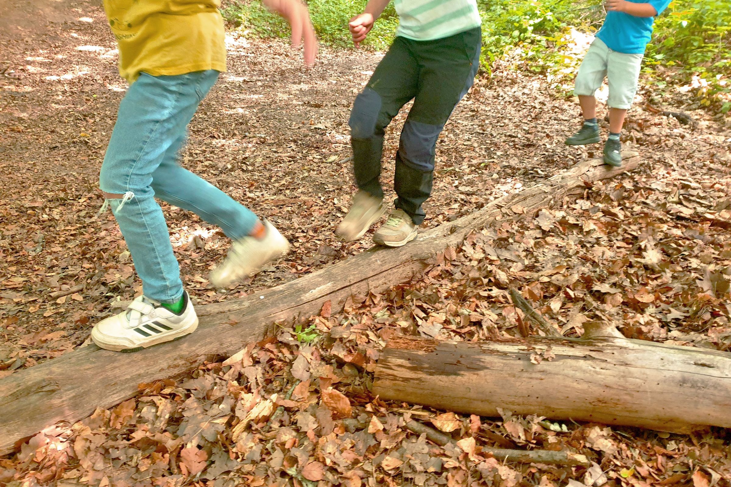 Ev. Kita Rupelrath - Den Wald erleben Kinder balancieren im Wald über einen Baumstamm.